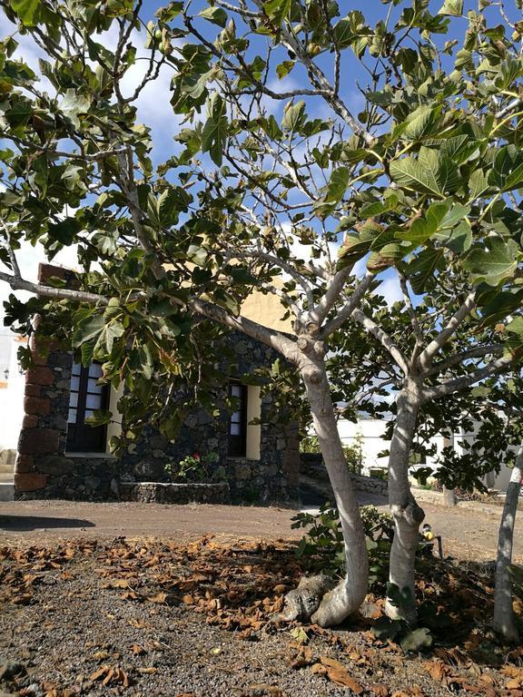 Casa Rural Domingo Pio Echedo 外观 照片